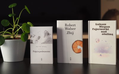 Nie do końca „zdrowe książki” – Walser, Nicpan i Král