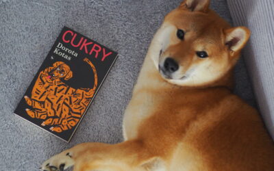 „Jakby z księżyca spadli” czyli, „Cukry” Doroty Kotas